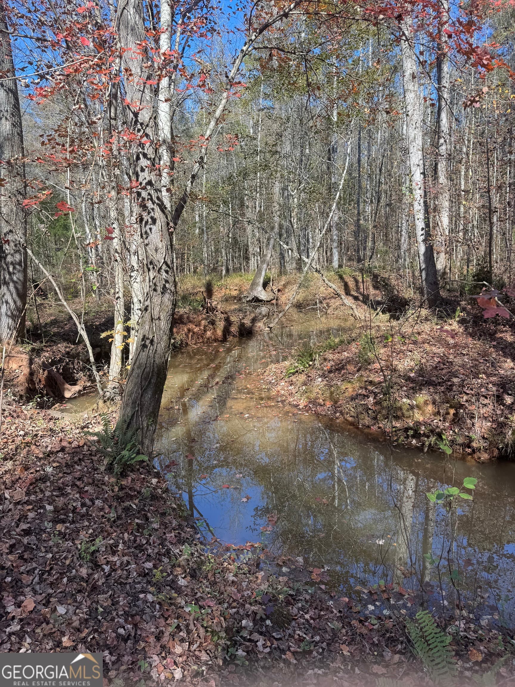 residential lot for sale at 157 W Drummond Road, West Point, GA 31833 — photo 4