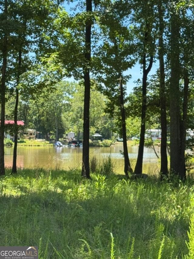 residential lot for sale at LOT 6 COUNTY ROAD 182 6, Cedar Bluff, AL 35959 — photo 2