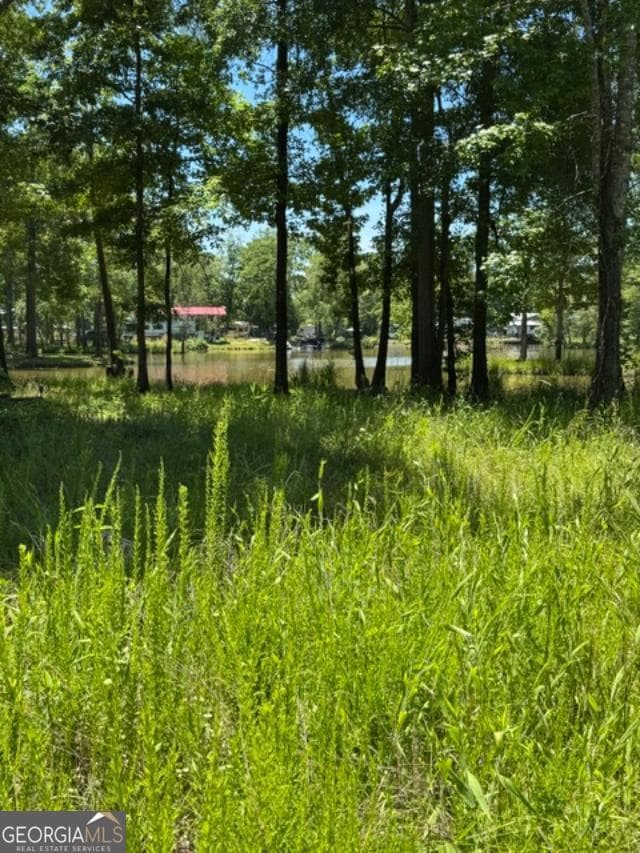 residential lot for sale at LOT 6 COUNTY ROAD 182 6, Cedar Bluff, AL 35959 — photo 3