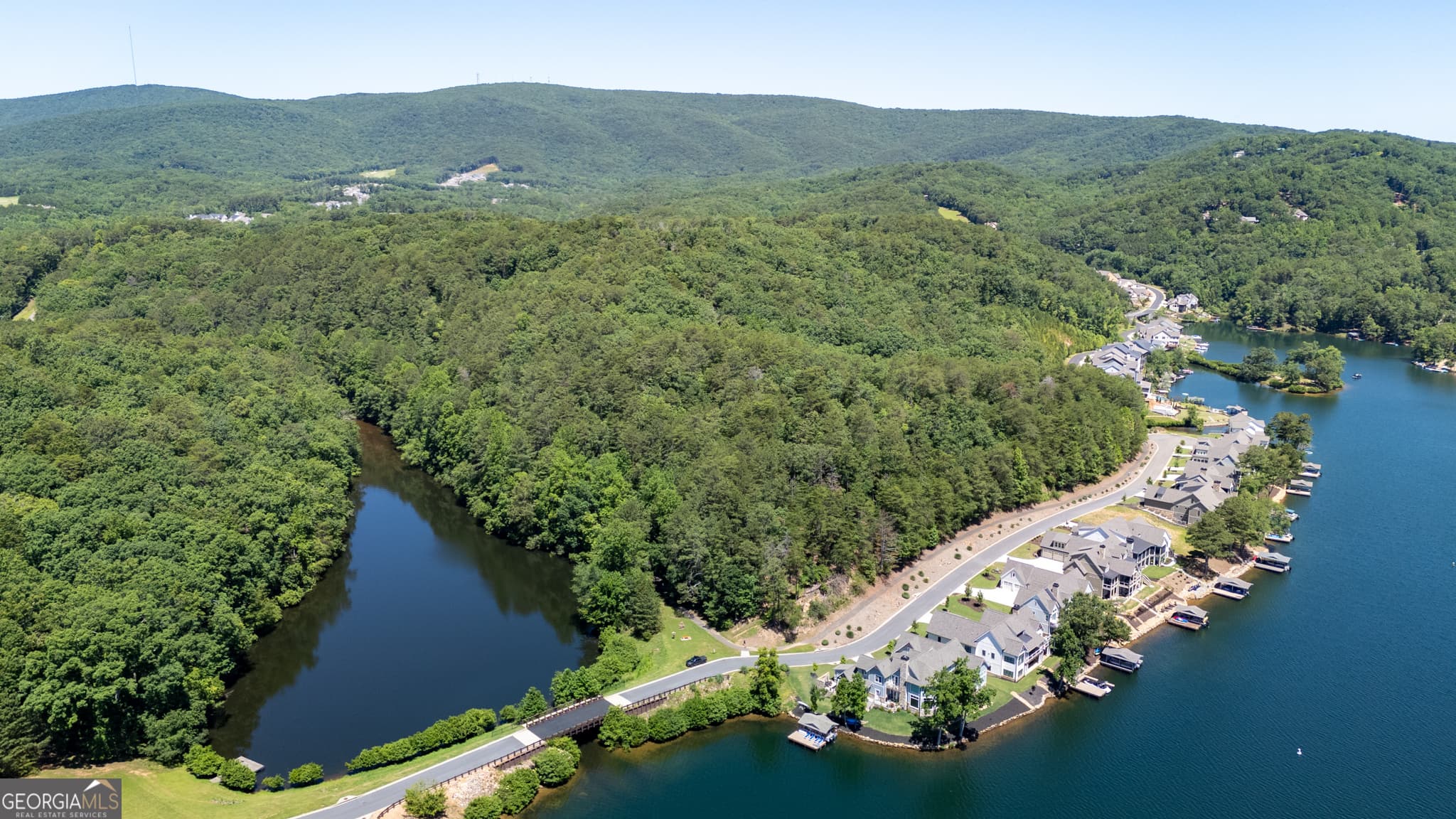 residential lot for sale at 0 Lake Arrowhead Drive, Waleska, GA 30183 — photo 6