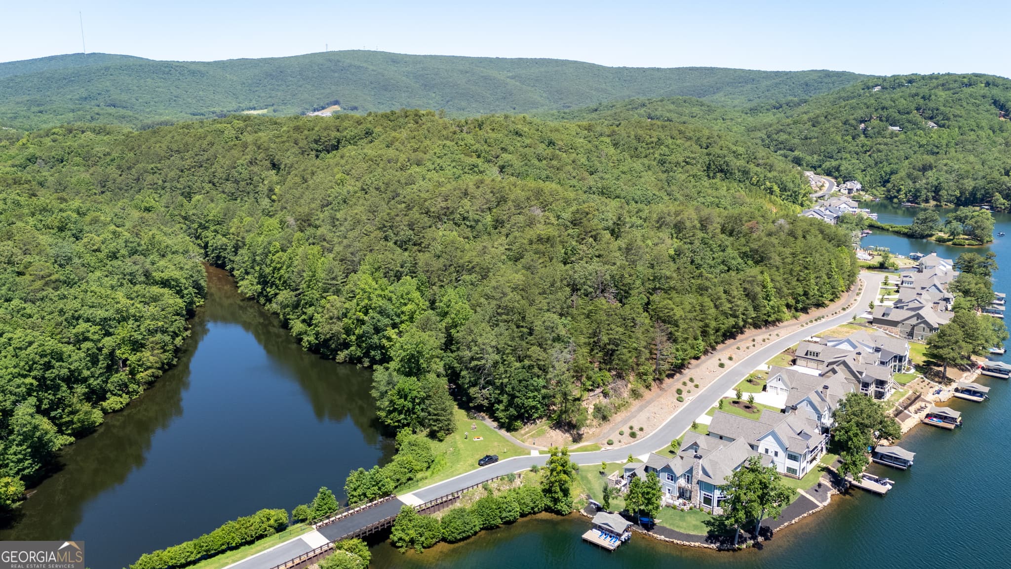 residential lot for sale at 0 Lake Arrowhead Drive, Waleska, GA 30183 — photo 7