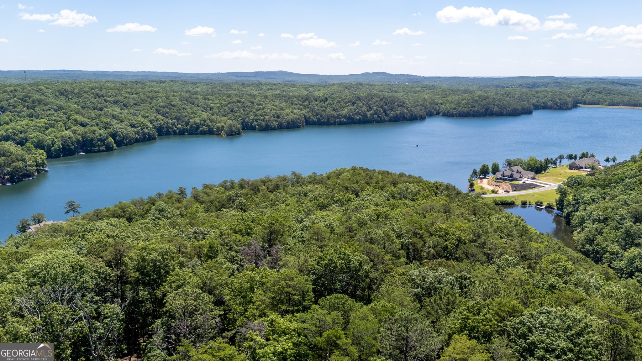 residential lot for sale at 0 Lake Arrowhead Drive, Waleska, GA 30183 — photo 5