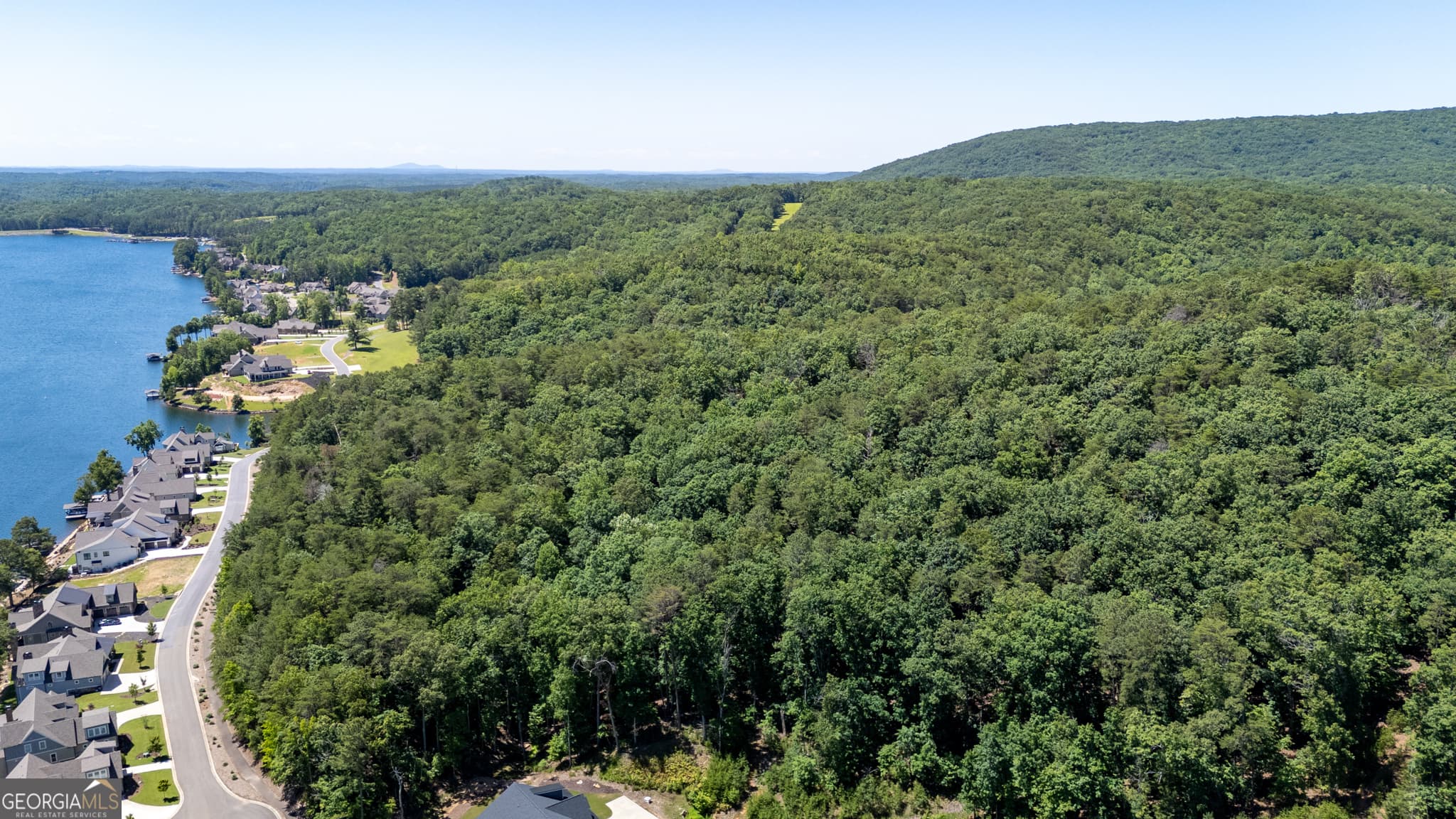 residential lot for sale at 0 Lake Arrowhead Drive, Waleska, GA 30183 — photo 4