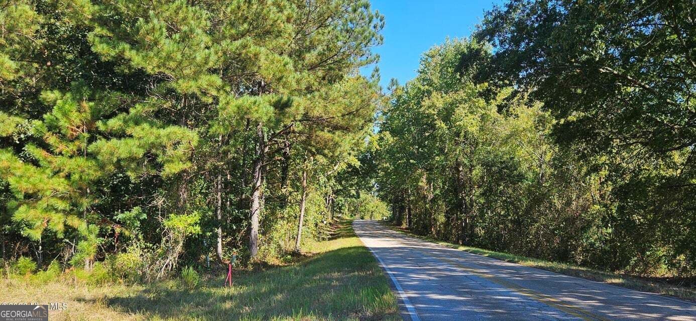 agriculture for sale at TRACT 1 BETHANY CHURCH Road, Lincolnton, GA 30817 — photo 2