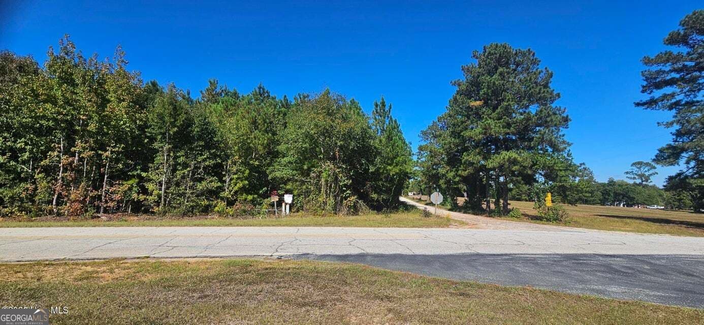agriculture for sale at TRACT 1 BETHANY CHURCH Road, Lincolnton, GA 30817 — photo 6