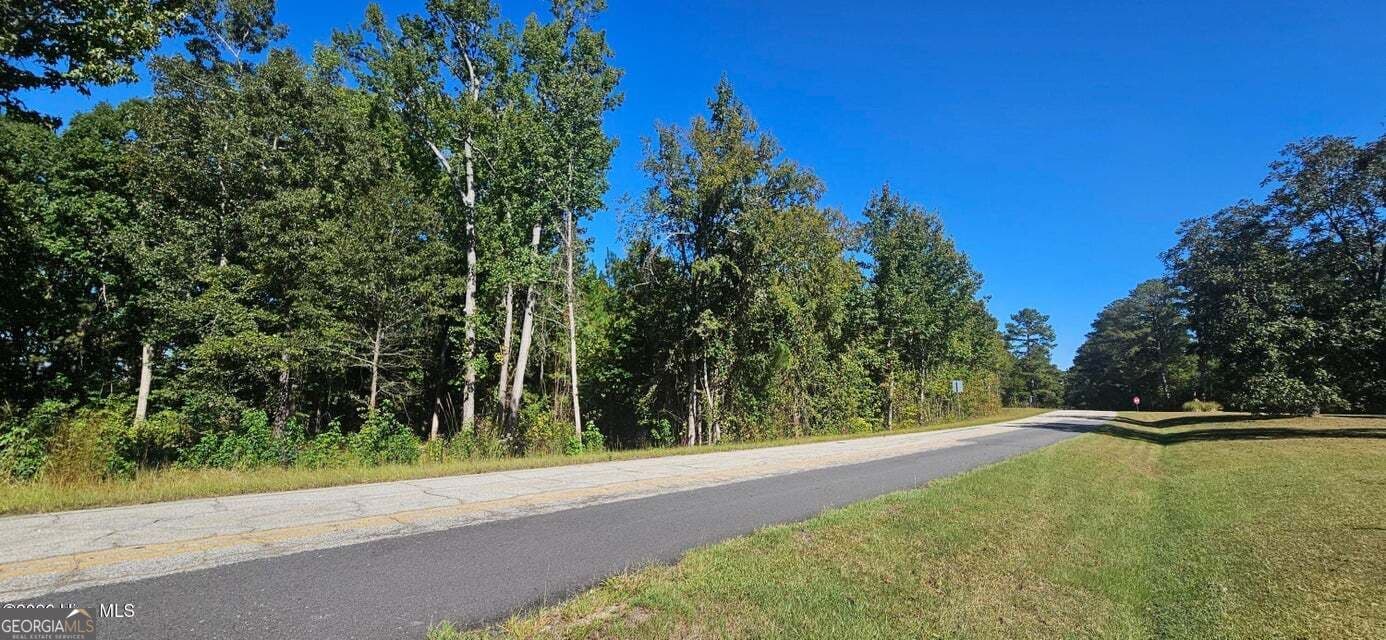 agriculture for sale at TRACT 1 BETHANY CHURCH Road, Lincolnton, GA 30817 — photo 3