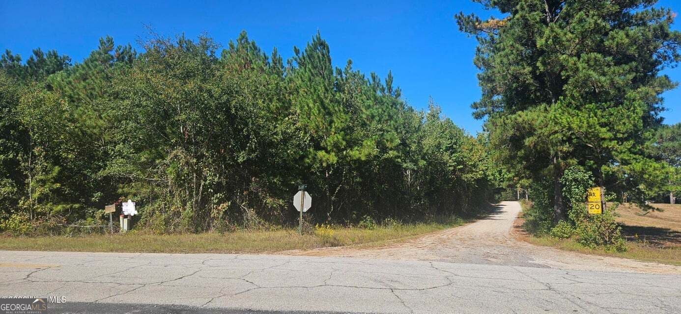 agriculture for sale at TRACT 1 BETHANY CHURCH Road, Lincolnton, GA 30817