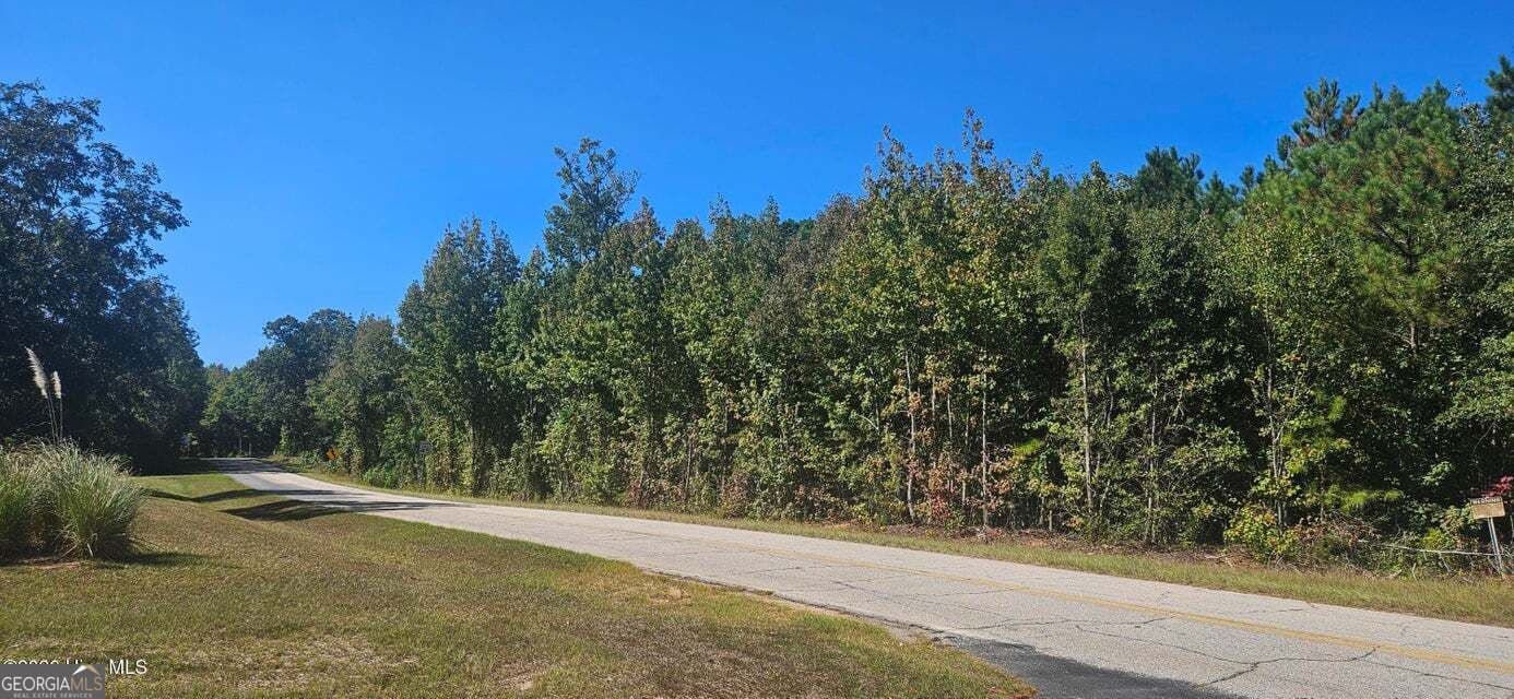 agriculture for sale at TRACT 1 BETHANY CHURCH Road, Lincolnton, GA 30817 — photo 5