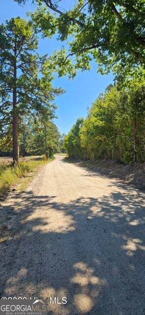 agriculture for sale at TRACT 1 BETHANY CHURCH Road, Lincolnton, GA 30817 — photo 4