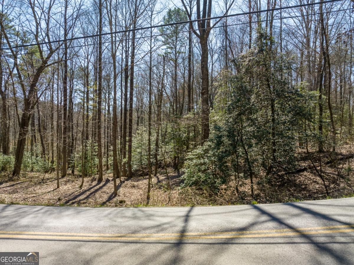 residential lot for sale at LOT 193 Shenendoa Drive, Ellijay, GA 30540 — photo 6