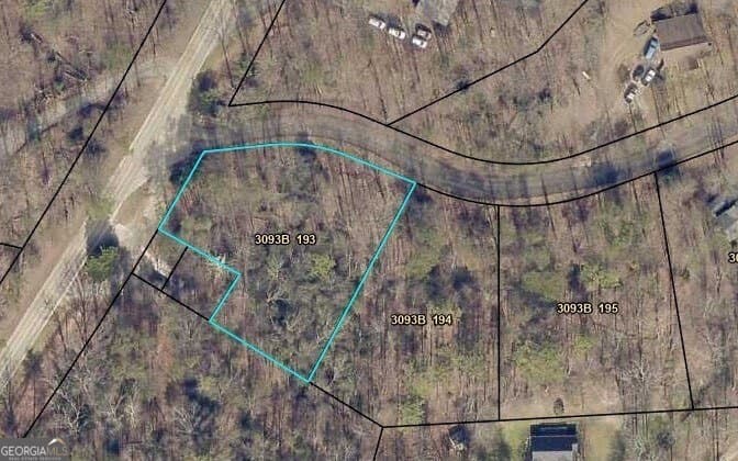 residential lot for sale at LOT 193 Shenendoa Drive, Ellijay, GA 30540 — photo 3