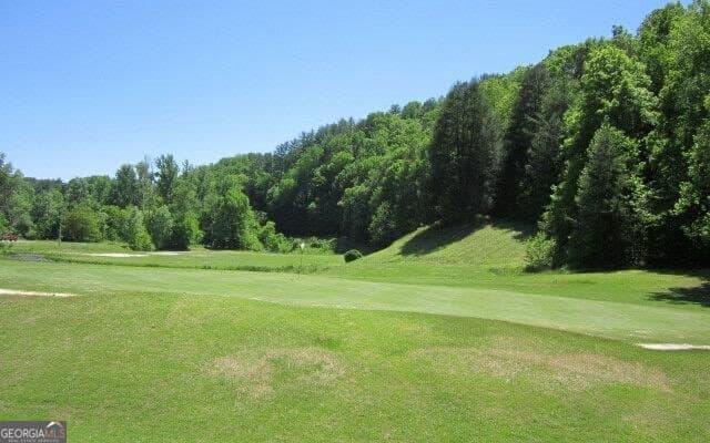 residential lot for sale at LOT 193 Shenendoa Drive, Ellijay, GA 30540 — photo 10
