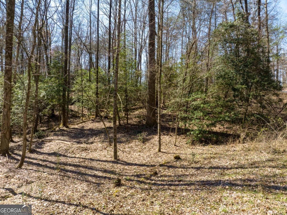 residential lot for sale at LOT 193 Shenendoa Drive, Ellijay, GA 30540 — photo 4