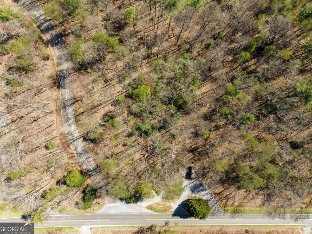 residential lot for sale at LOT 193 Shenendoa Drive, Ellijay, GA 30540 — photo 8