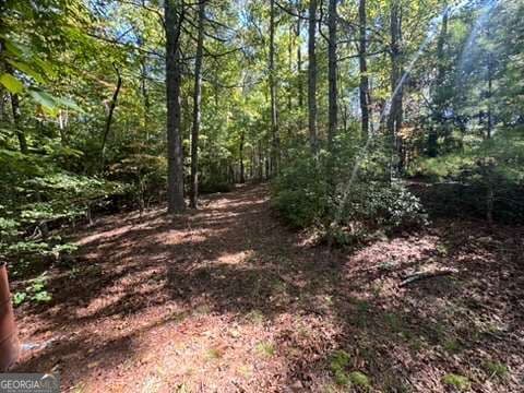 residential lot for sale at LOT 1 Laurelwood Circle, Murphy, NC 28906 — photo 6