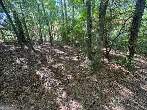 residential lot for sale at LOT 1 Laurelwood Circle, Murphy, NC 28906 — photo 3