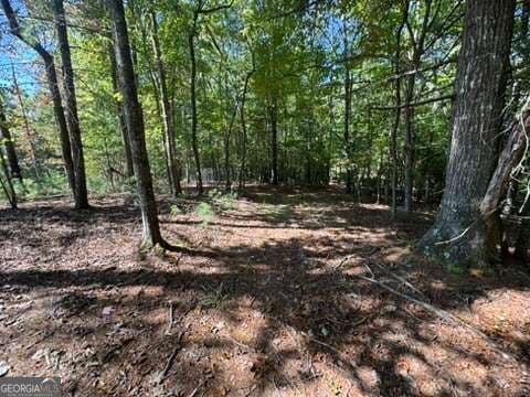 residential lot for sale at LOT 1 Laurelwood Circle, Murphy, NC 28906 — photo 5