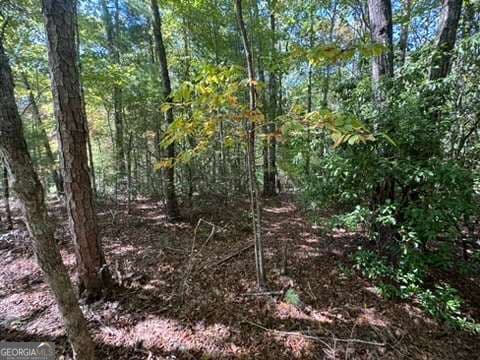 residential lot for sale at LOT 1 Laurelwood Circle, Murphy, NC 28906 — photo 9