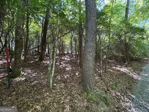 residential lot for sale at LOT 1 Laurelwood Circle, Murphy, NC 28906 — photo 4
