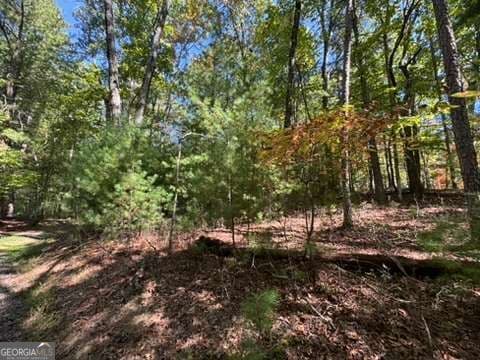 residential lot for sale at LOT 1 Laurelwood Circle, Murphy, NC 28906 — photo 8