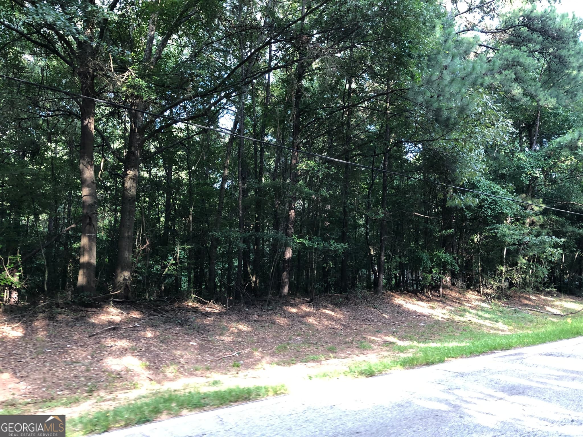 unimproved land for sale at 0 E Atlanta Road @KINSEY DR, Stockbridge, GA 30281 — photo 6