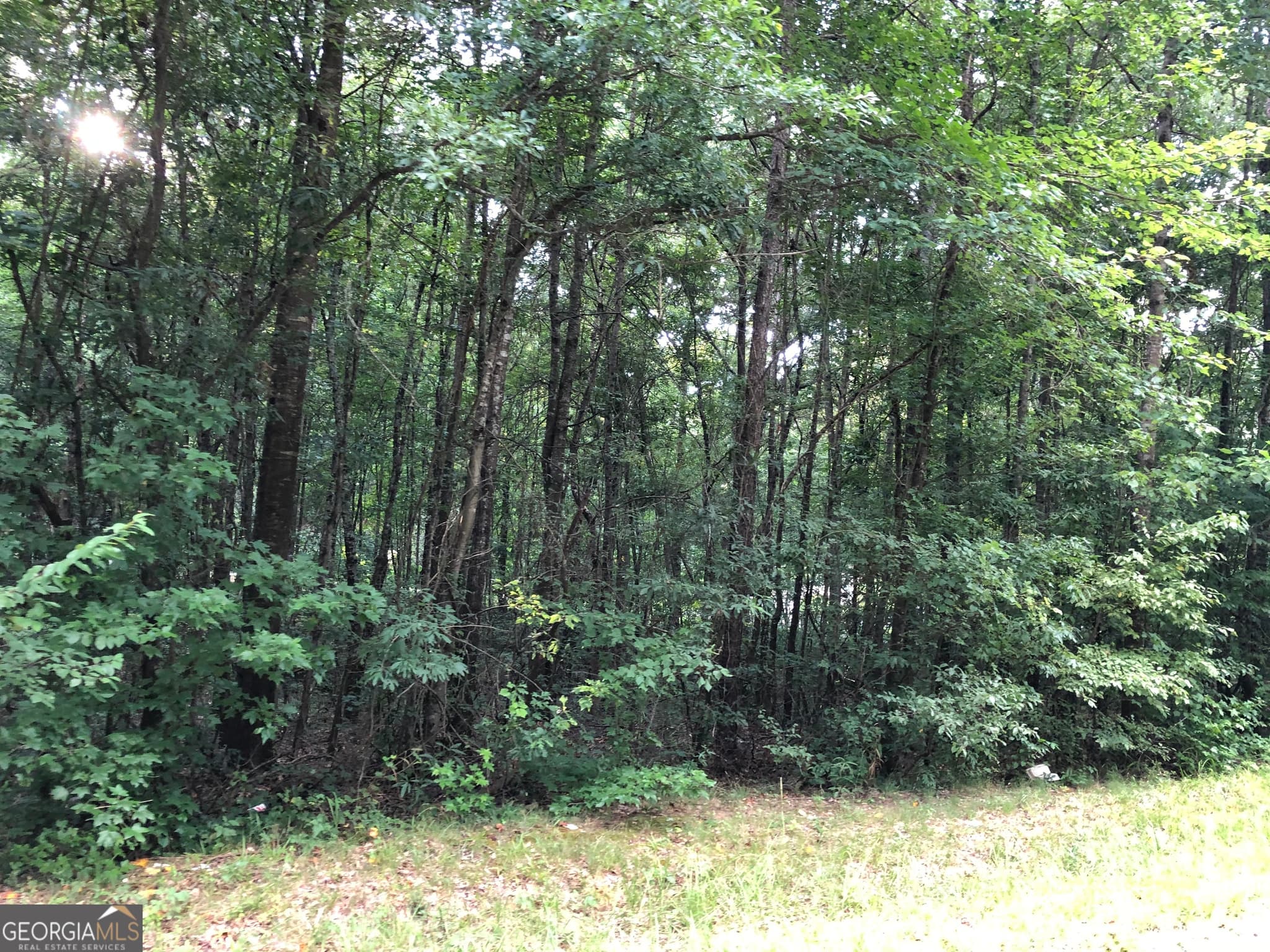 unimproved land for sale at 0 E Atlanta Road @KINSEY DR, Stockbridge, GA 30281 — photo 7