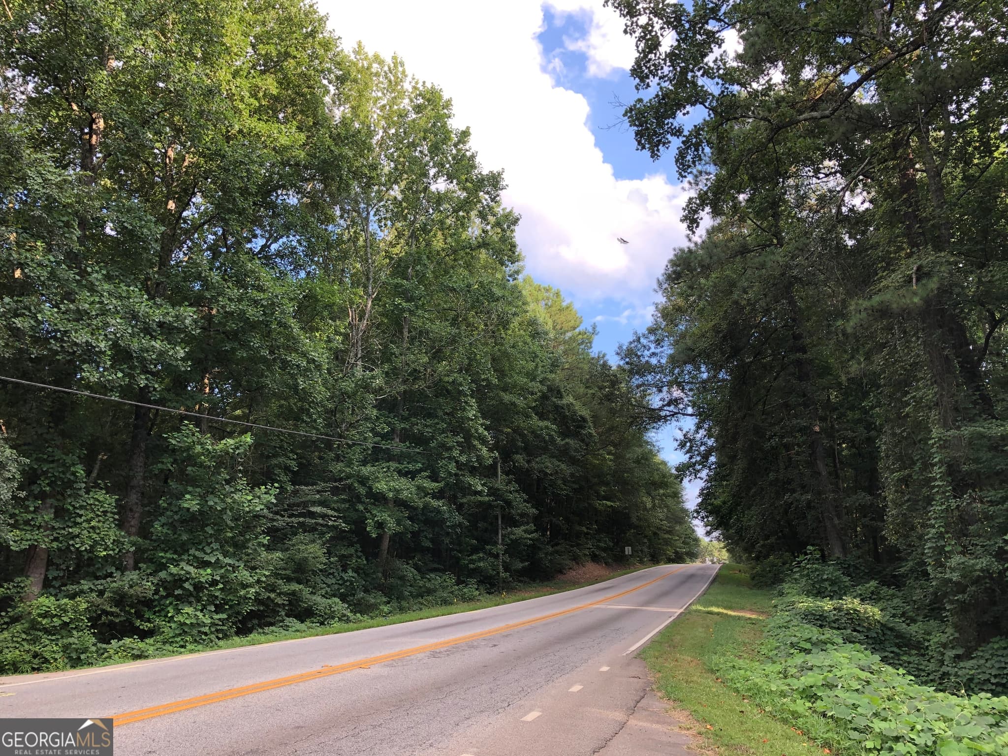 unimproved land for sale at 0 E Atlanta Road @KINSEY DR, Stockbridge, GA 30281 — photo 5