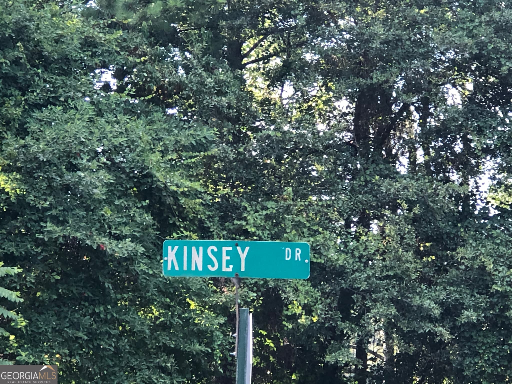 unimproved land for sale at 0 E Atlanta Road @KINSEY DR, Stockbridge, GA 30281 — photo 8