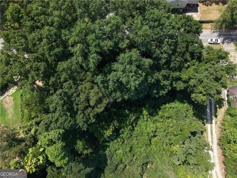residential lot for sale at 1929 Grove Avenue, East Point, GA 30344 — photo 6