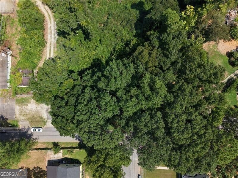 residential lot for sale at 1929 Grove Avenue, East Point, GA 30344 — photo 8