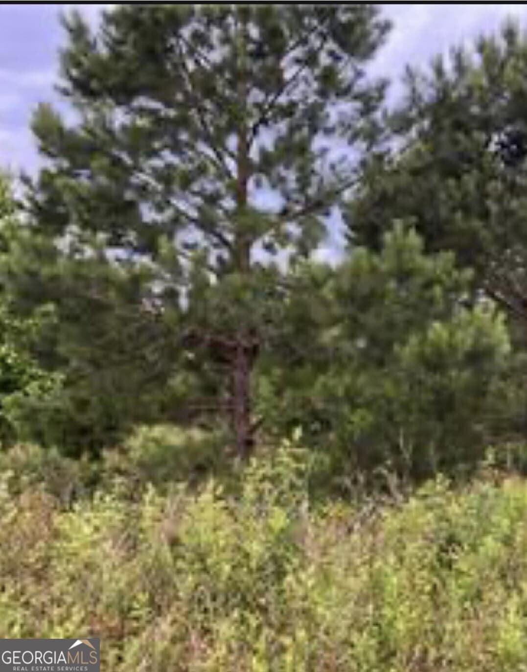 residential lot for sale at 0 Sandy Lane, Hawkinsville, GA 31036