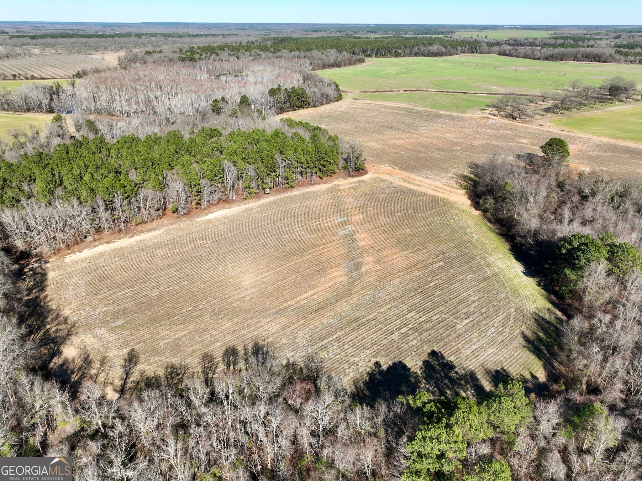 agriculture for sale at 0 Jenkins Farm Road, Byromville, GA 31007 — photo 2
