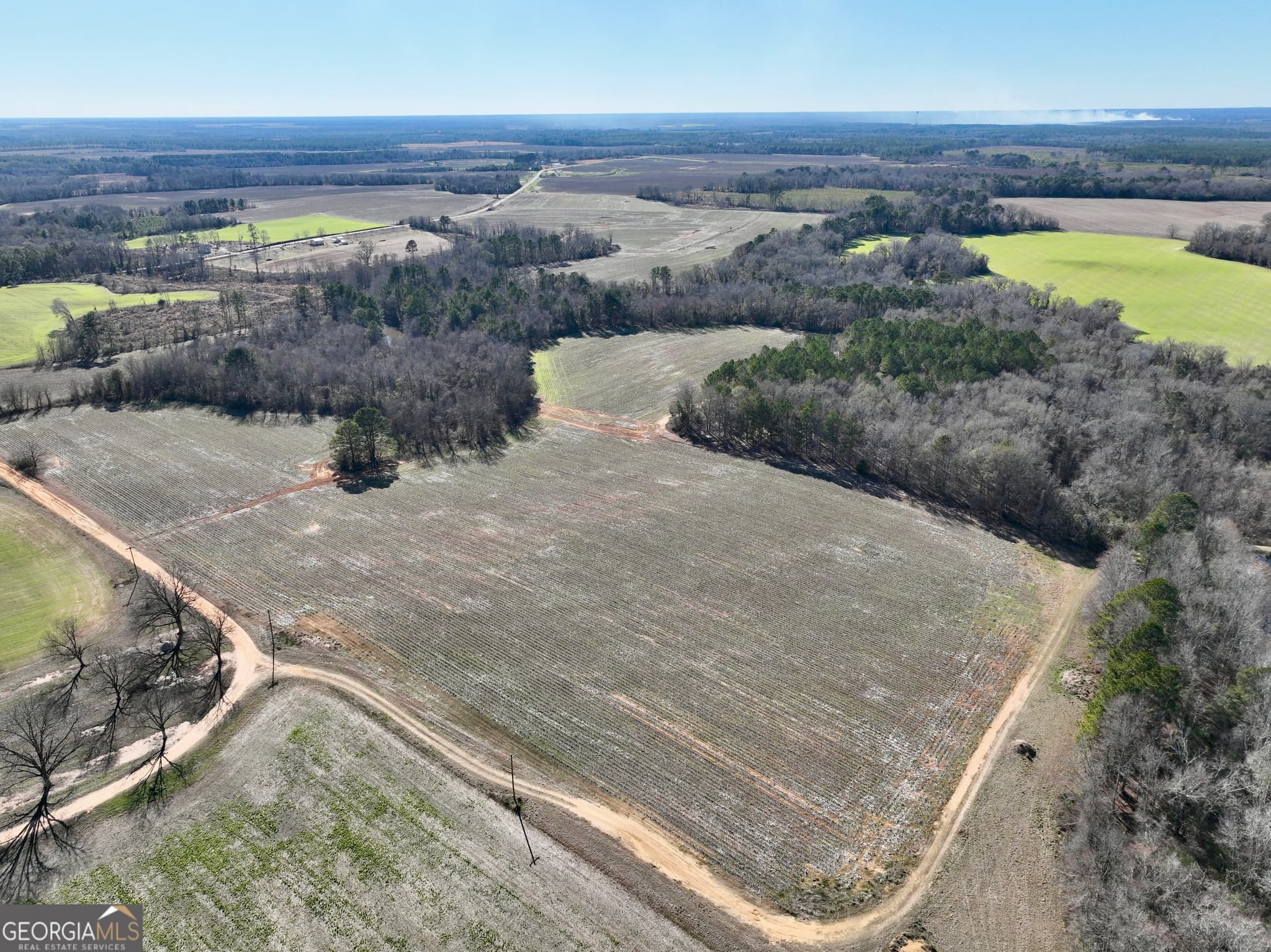 agriculture for sale at 0 Jenkins Farm Road, Byromville, GA 31007 — photo 7