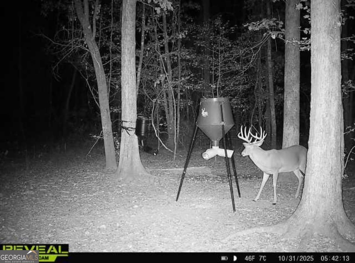 agriculture for sale at 0 Jenkins Farm Road, Byromville, GA 31007 — photo 9