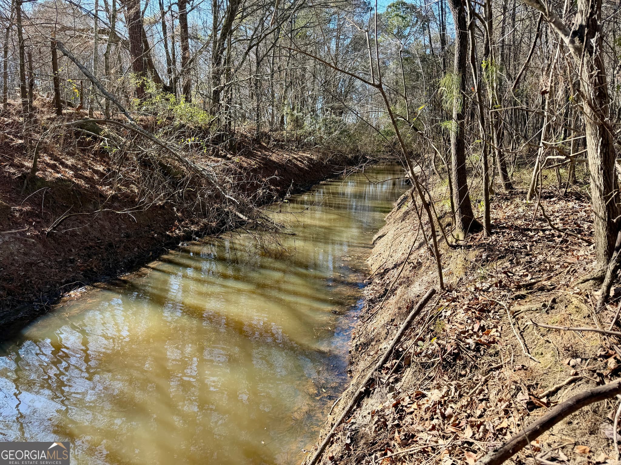 agriculture for sale at 0 Jenkins Farm Road, Byromville, GA 31007 — photo 10