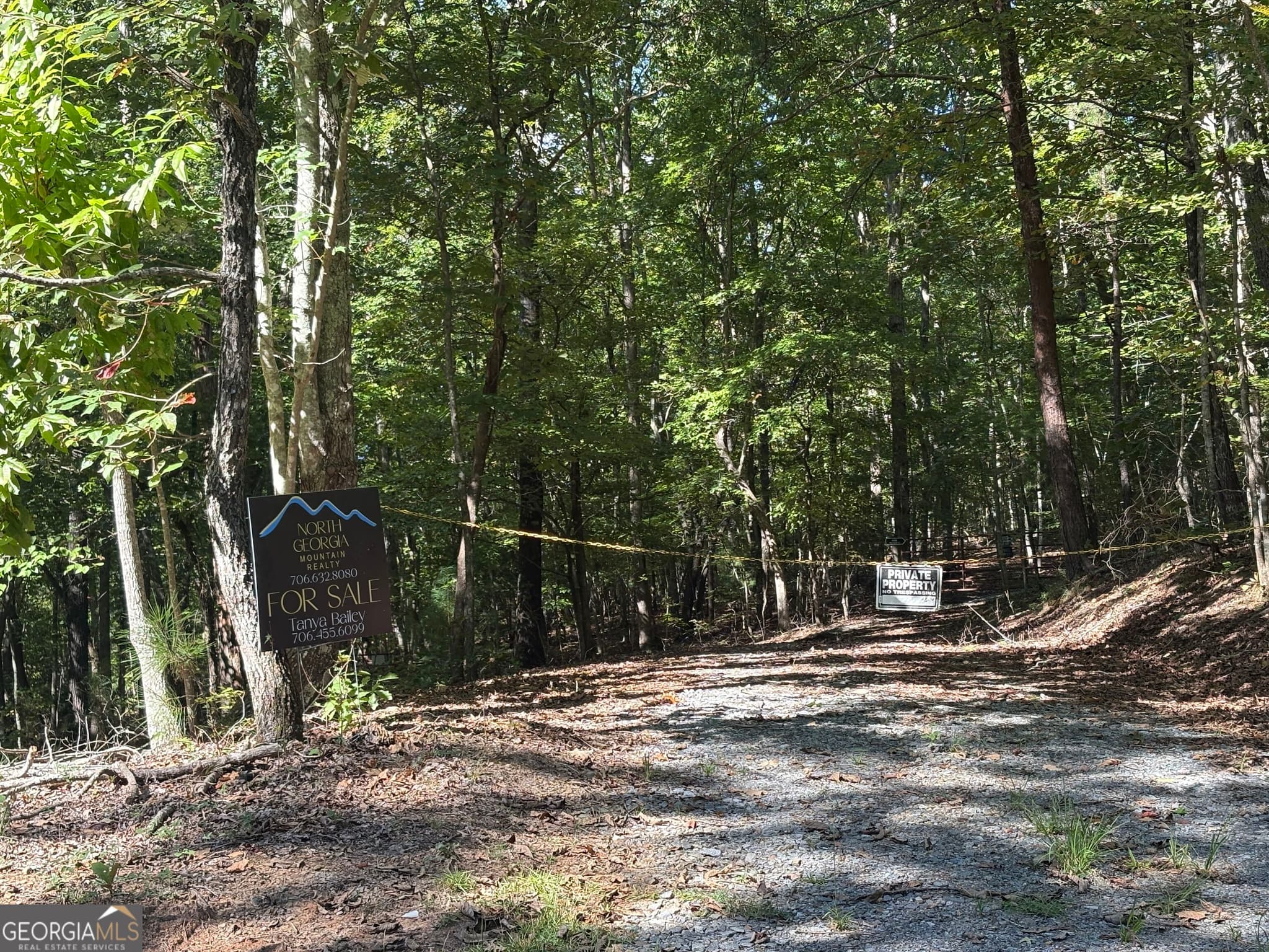 unimproved land for sale at 29B Hillstead Trace, Ellijay, GA 30540 — photo 2