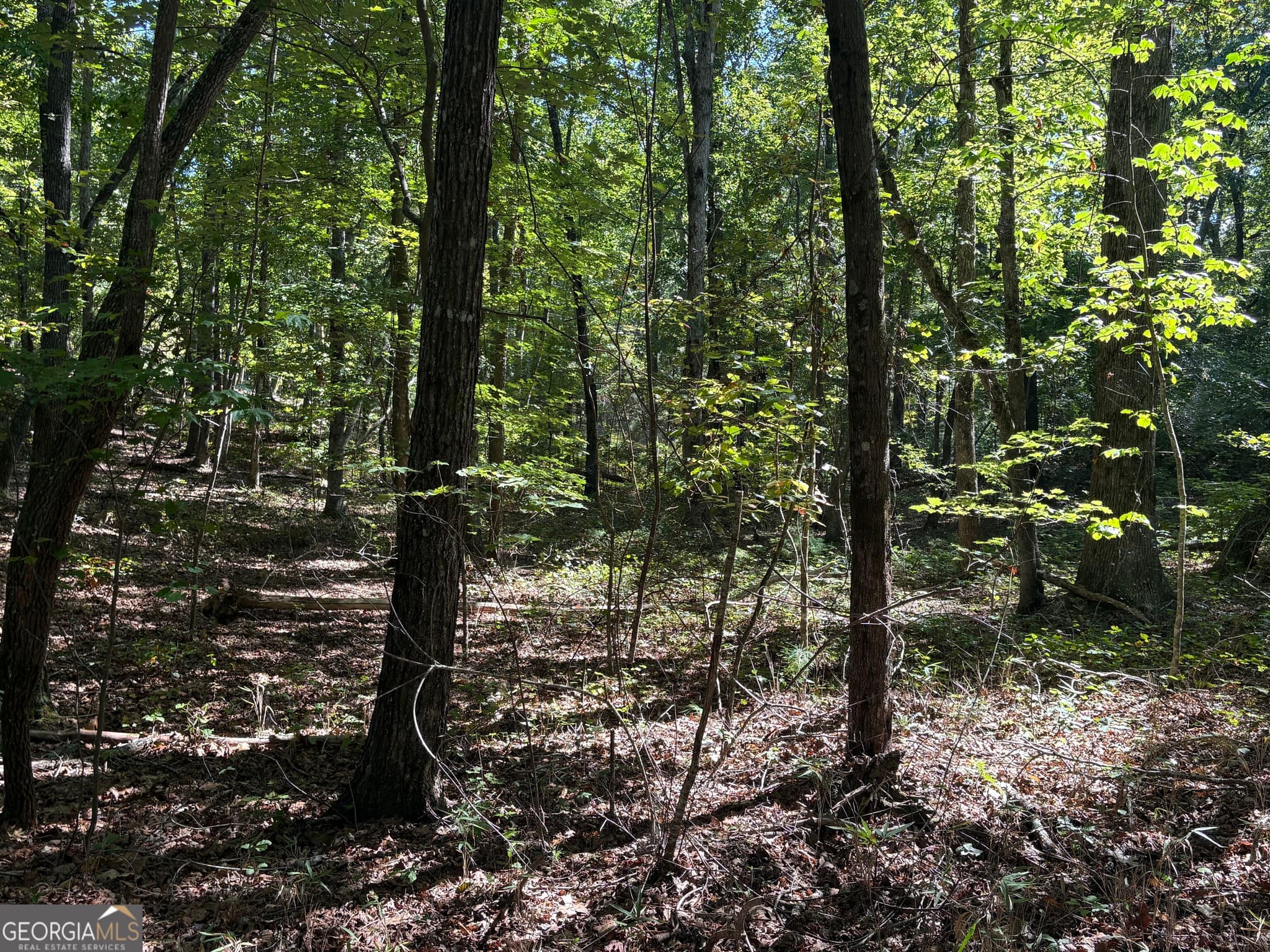 unimproved land for sale at 29B Hillstead Trace, Ellijay, GA 30540 — photo 6