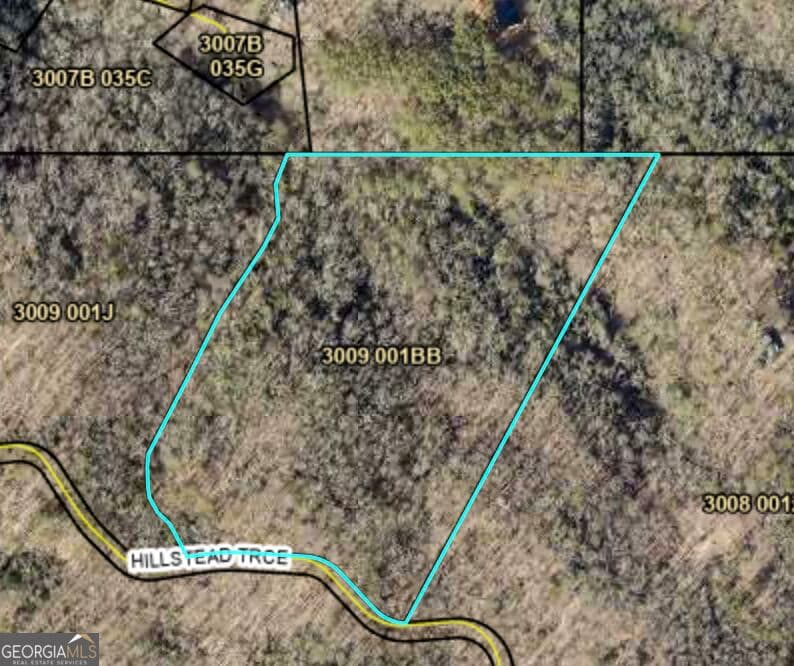 unimproved land for sale at 29B Hillstead Trace, Ellijay, GA 30540 — photo 3