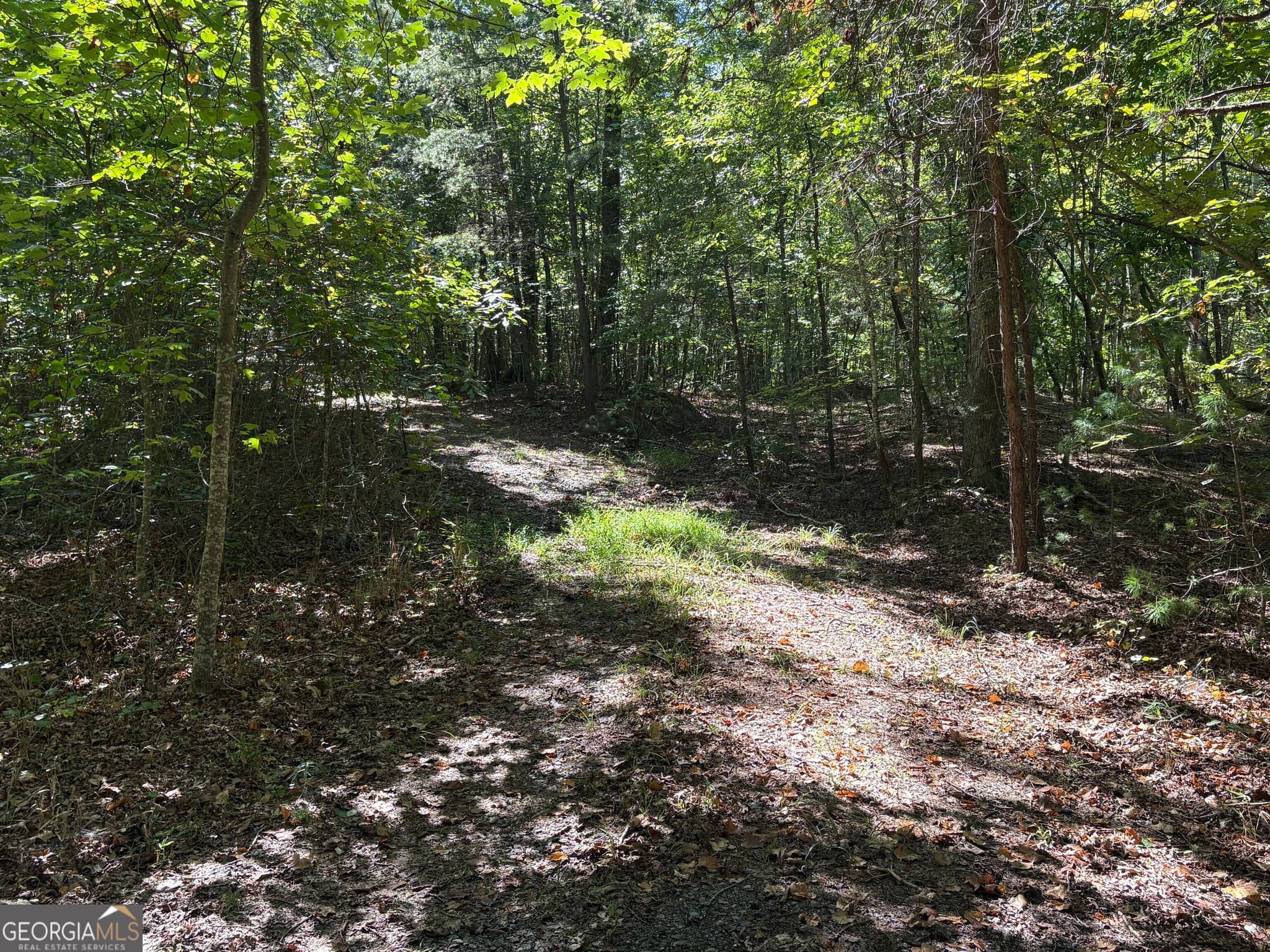 unimproved land for sale at 29B Hillstead Trace, Ellijay, GA 30540 — photo 1 of 19