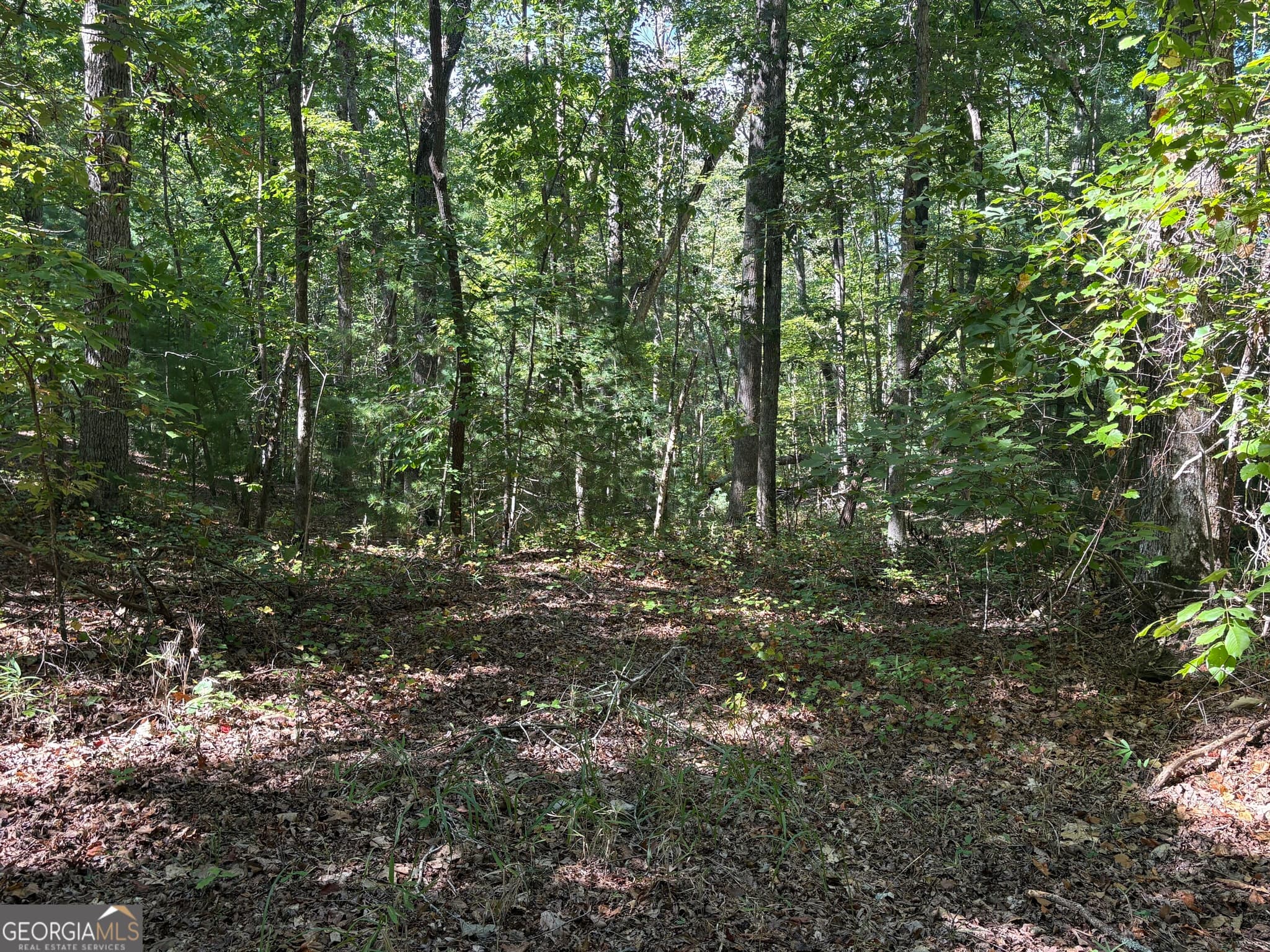 unimproved land for sale at 29B Hillstead Trace, Ellijay, GA 30540 — photo 5