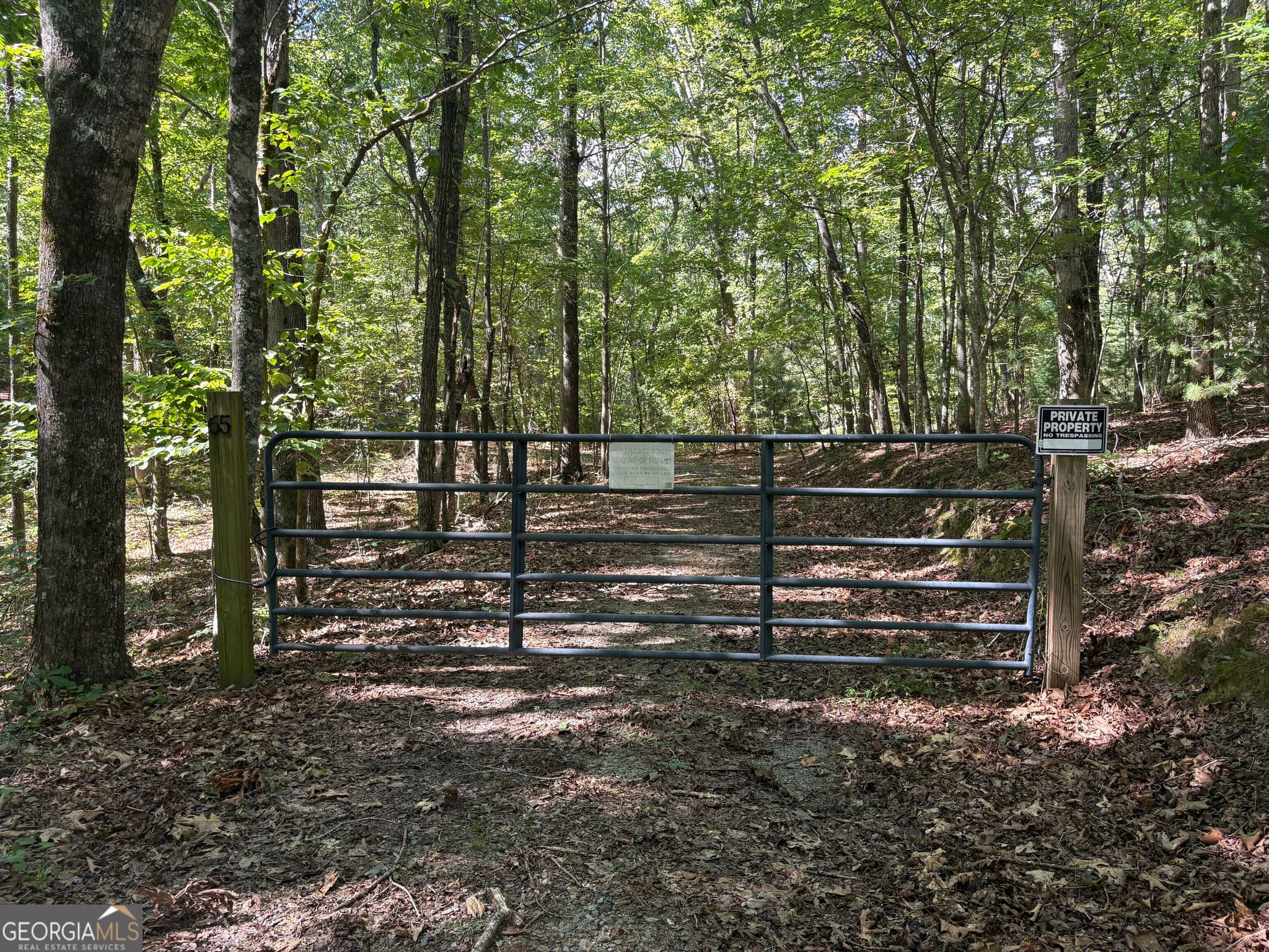 unimproved land for sale at 29B Hillstead Trace, Ellijay, GA 30540 — photo 9