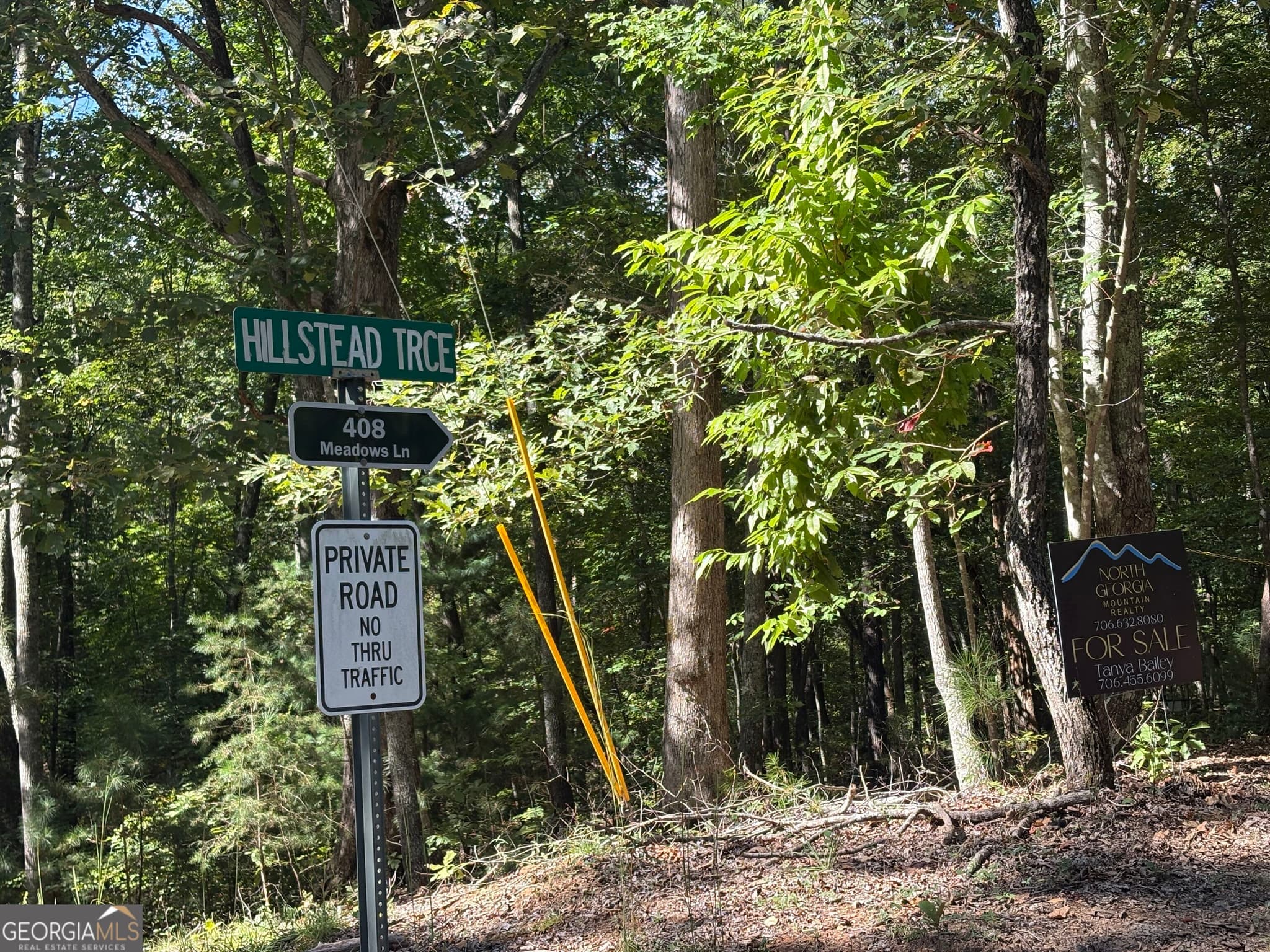 unimproved land for sale at 29B Hillstead Trace, Ellijay, GA 30540 — photo 10