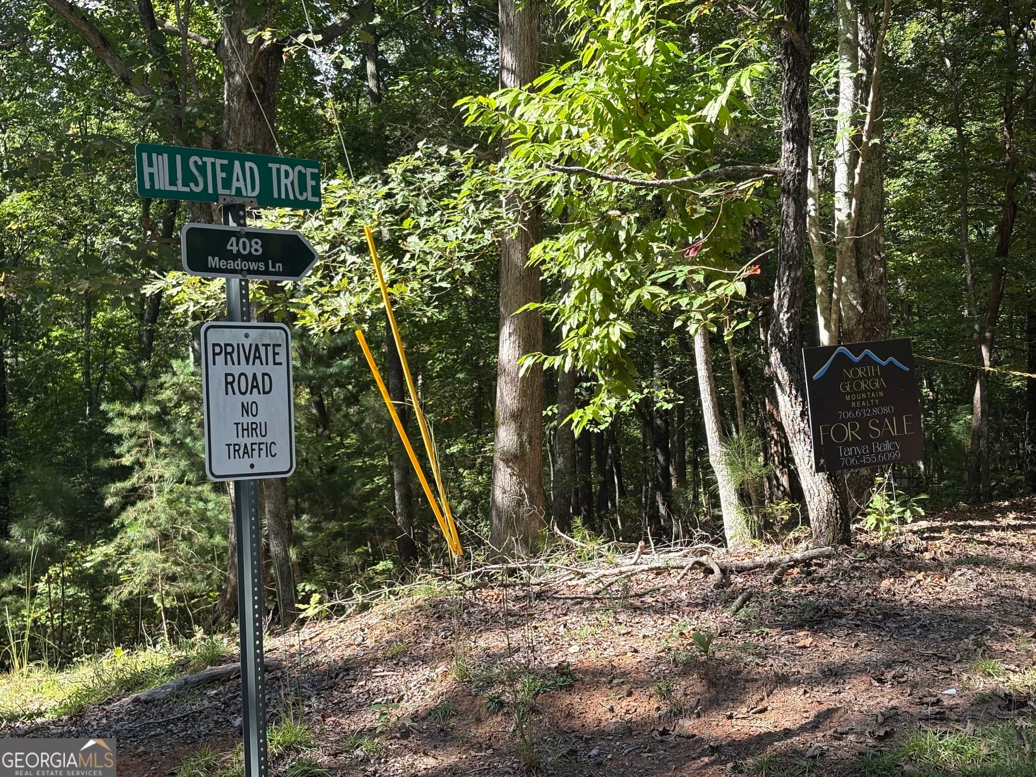unimproved land for sale at 29B Hillstead Trace, Ellijay, GA 30540 — photo 4