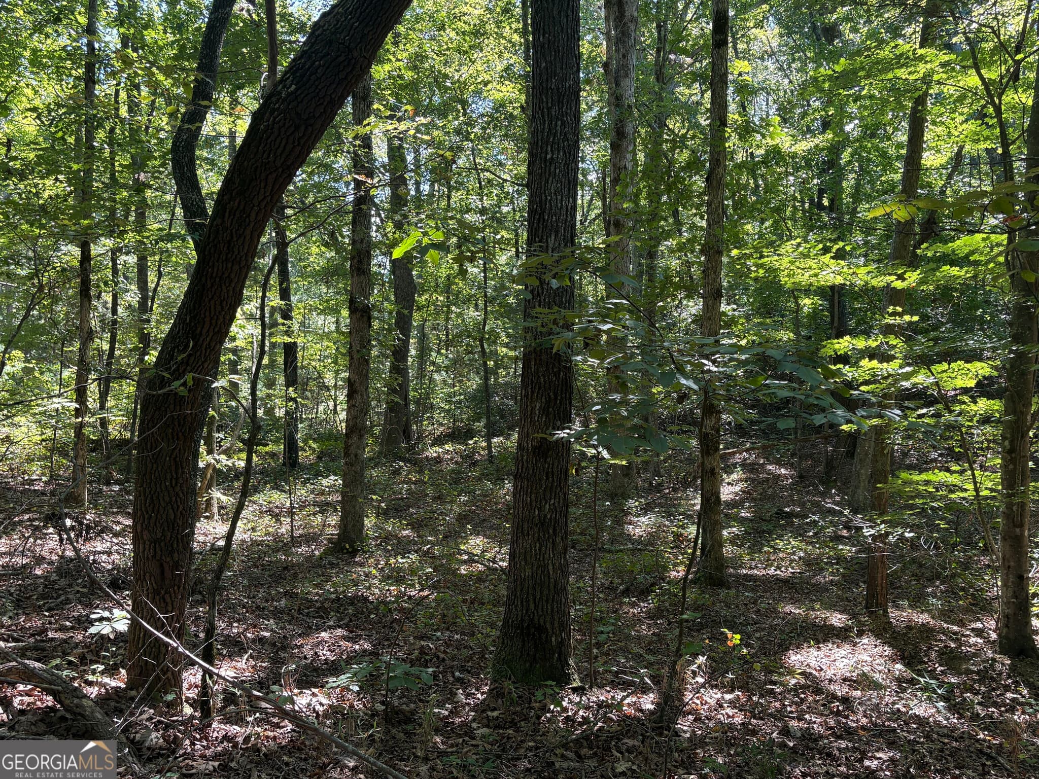 unimproved land for sale at 29B Hillstead Trace, Ellijay, GA 30540 — photo 8