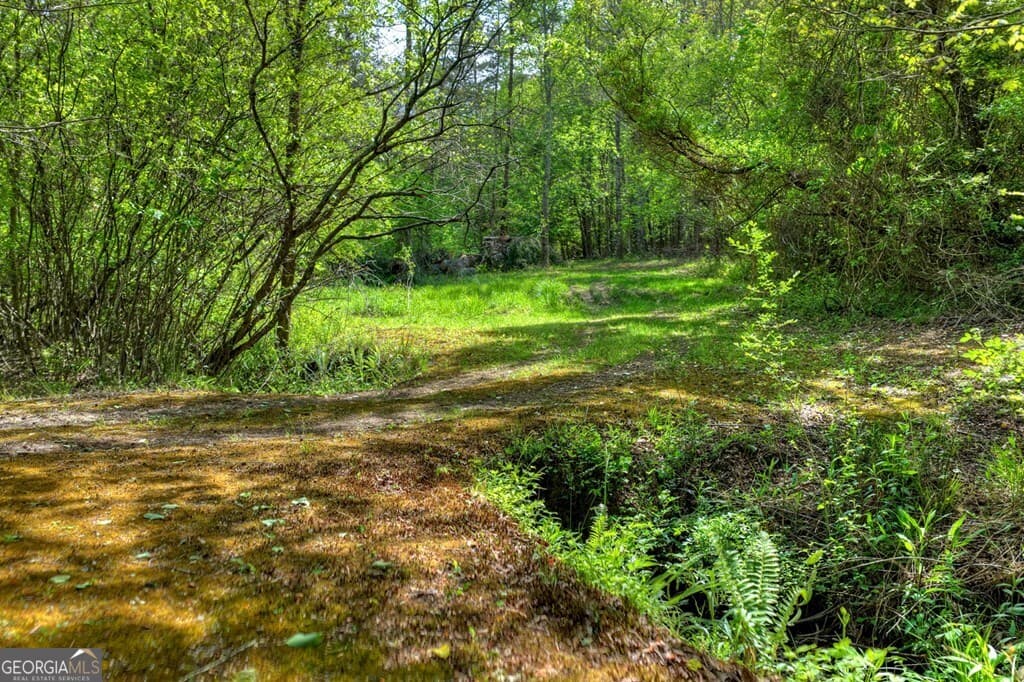 3 bedroom, 2 bathroom, 2,080 sq ft cabin,single family residence for sale at 111 Candlewood Lane, Blue Ridge, GA 30513 — photo 10