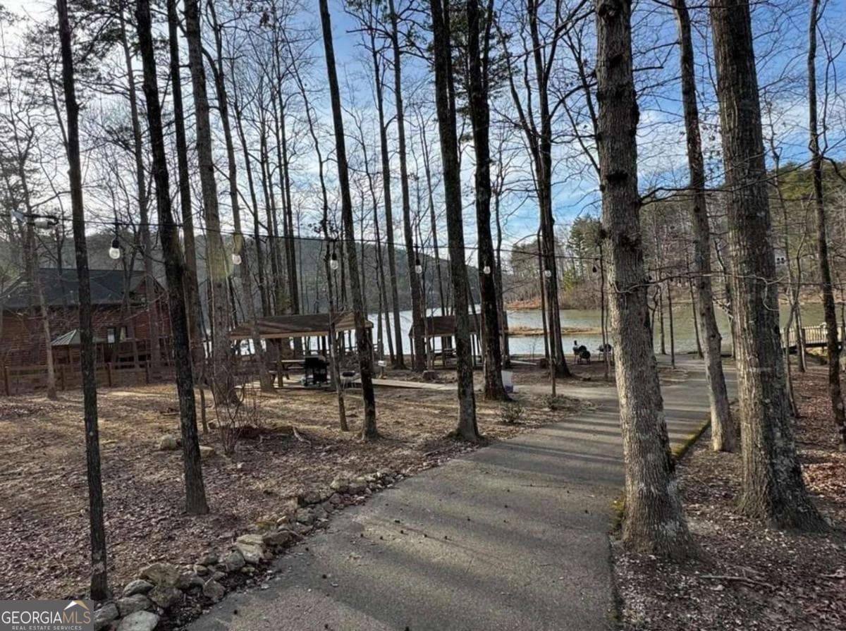 residential lot for sale at 0 Acerose Drive 402, Jasper, GA 30143 — photo 5