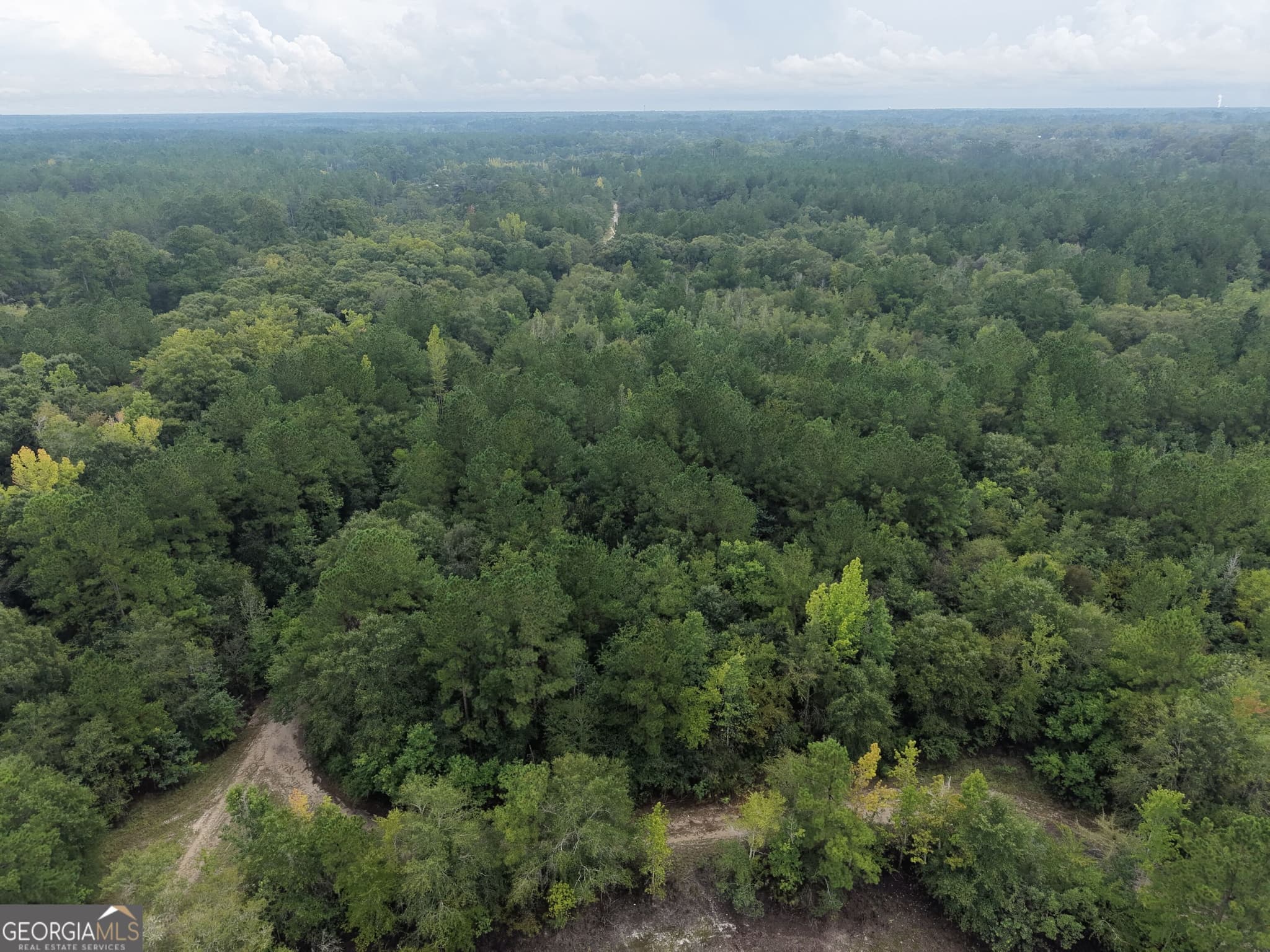 unimproved land for sale at 0 Jamestown Road, Waycross, GA 31503 — photo 6
