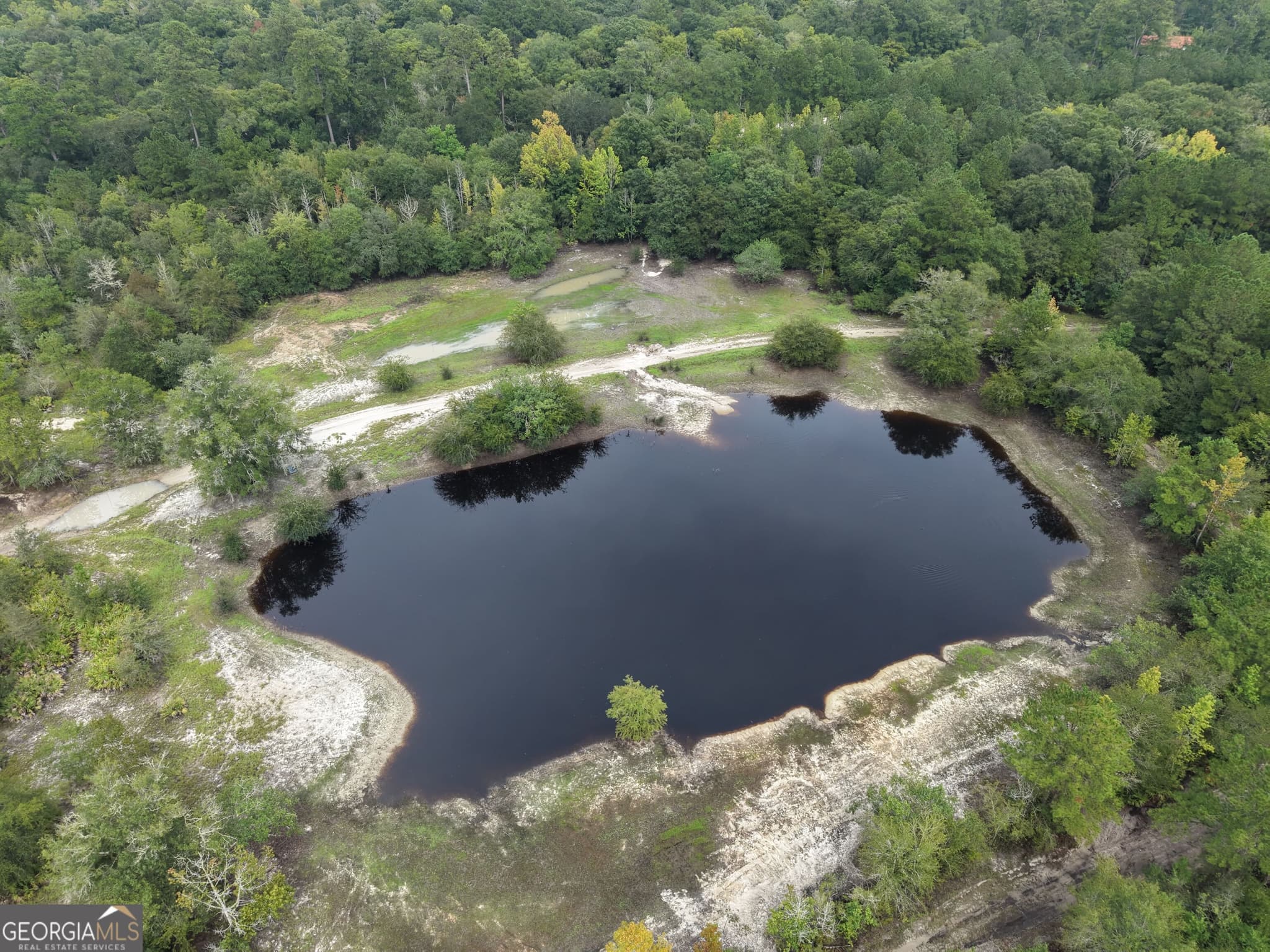 unimproved land for sale at 0 Jamestown Road, Waycross, GA 31503 — photo 3