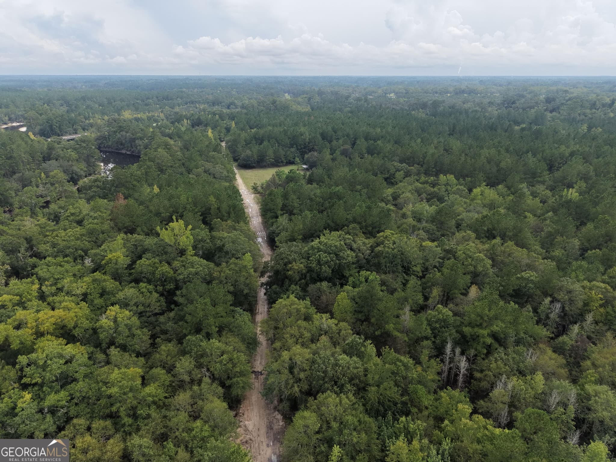 unimproved land for sale at 0 Jamestown Road, Waycross, GA 31503 — photo 9