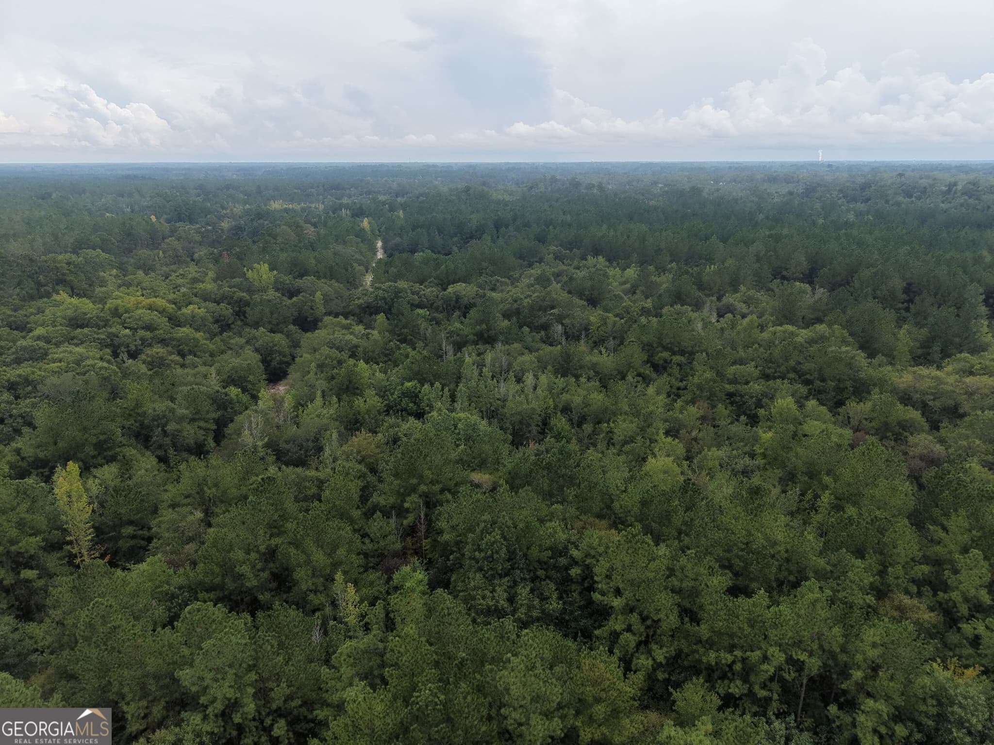 unimproved land for sale at 0 Jamestown Road, Waycross, GA 31503 — photo 10
